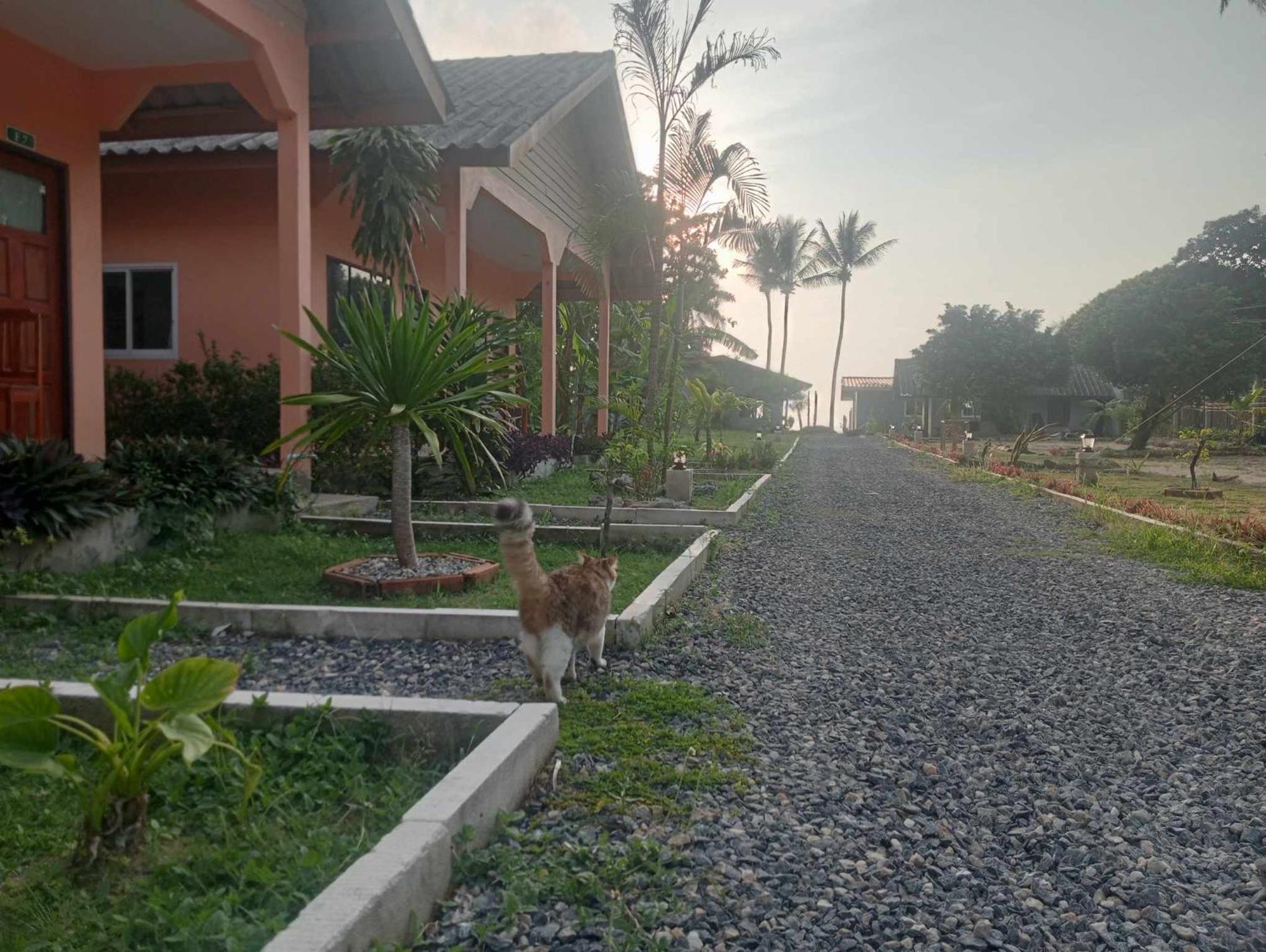 Scandinavian Beach Resort Ko Lanta المظهر الخارجي الصورة